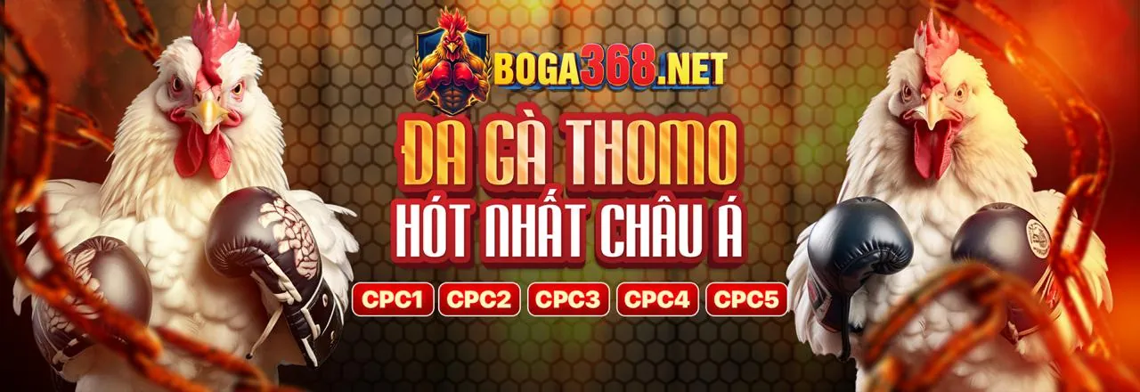Đá Gà Trực Tuyến Hấp Dẫn tại 11u nhà cái